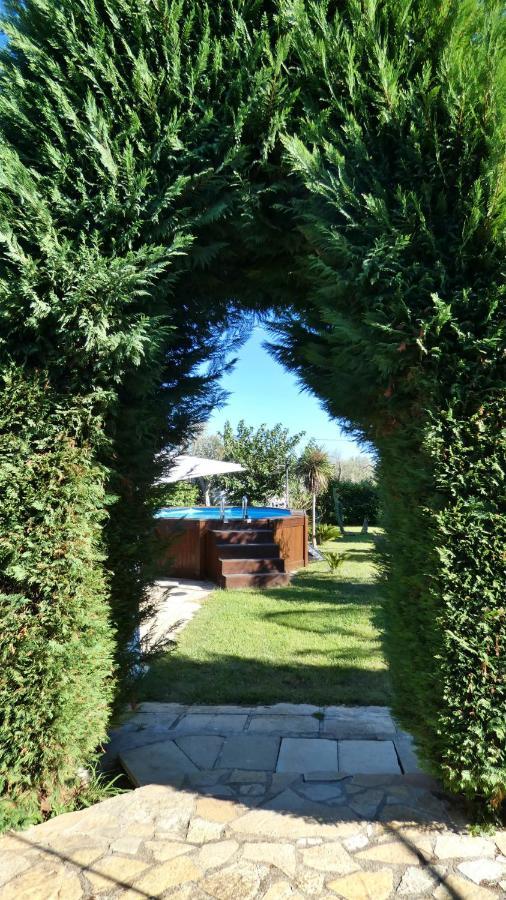 Villa Piana - Con Piscina E Giardino Privato Nel Salento Tricase Eksteriør billede